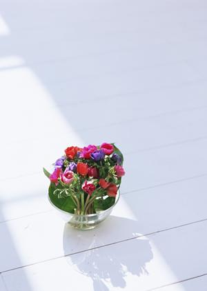 高性能なアイシネンの費用をより安価に