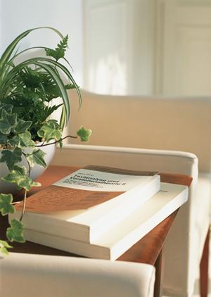 雪国では必須のお勧めの融雪マット